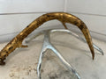 Faux tabletop antler set