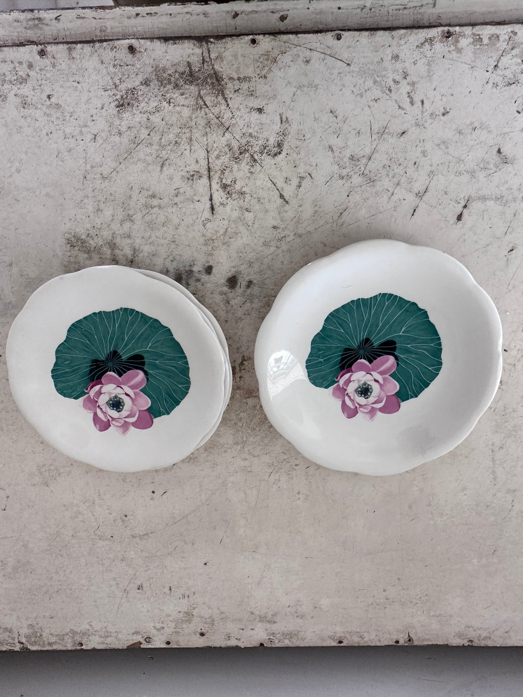 Cavitt Shaw Vintage Succulent Plate
