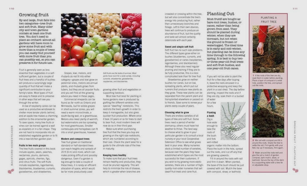 The Backyard Homesteader