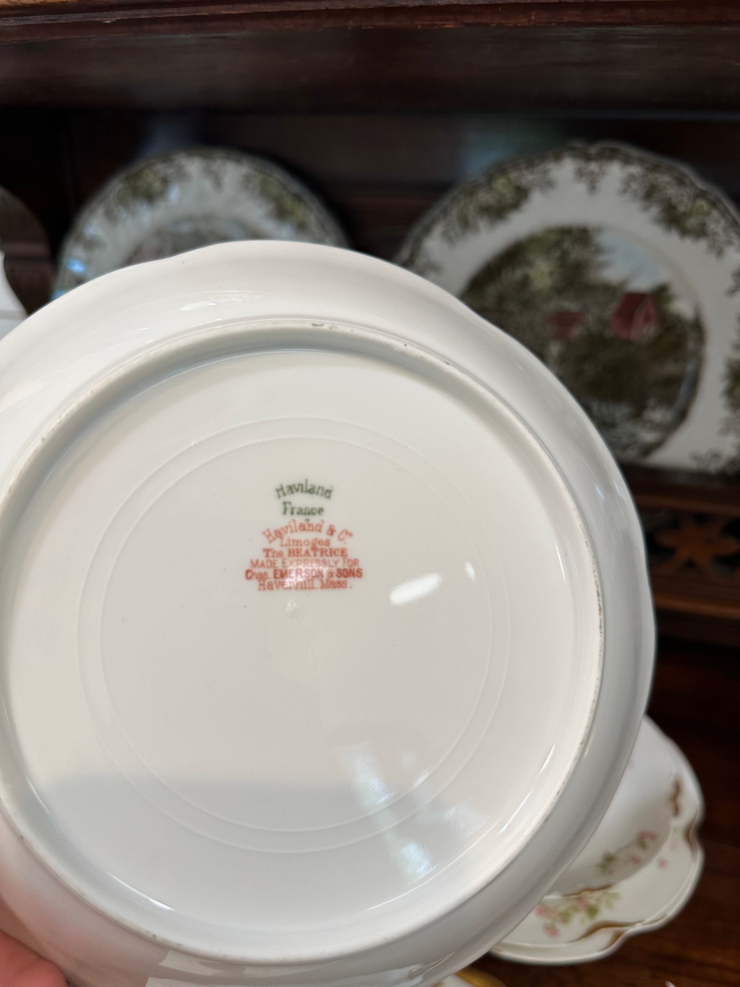 Haviland France Limoges The Beatrice