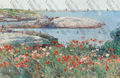 Poppies on The Beach | Discontinued JRV MEDIUM Rice Paper