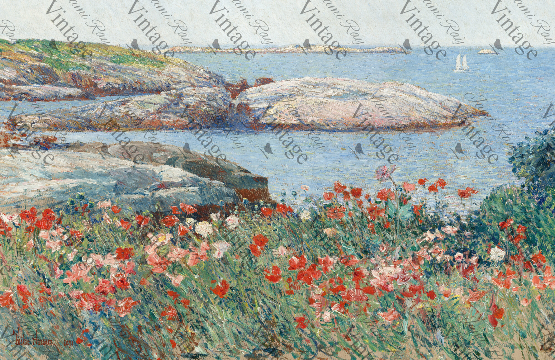 Poppies on The Beach | Discontinued JRV MEDIUM Rice Paper