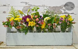 Bluebird | Sweet Pickins Milk Paint Sweet Pickins