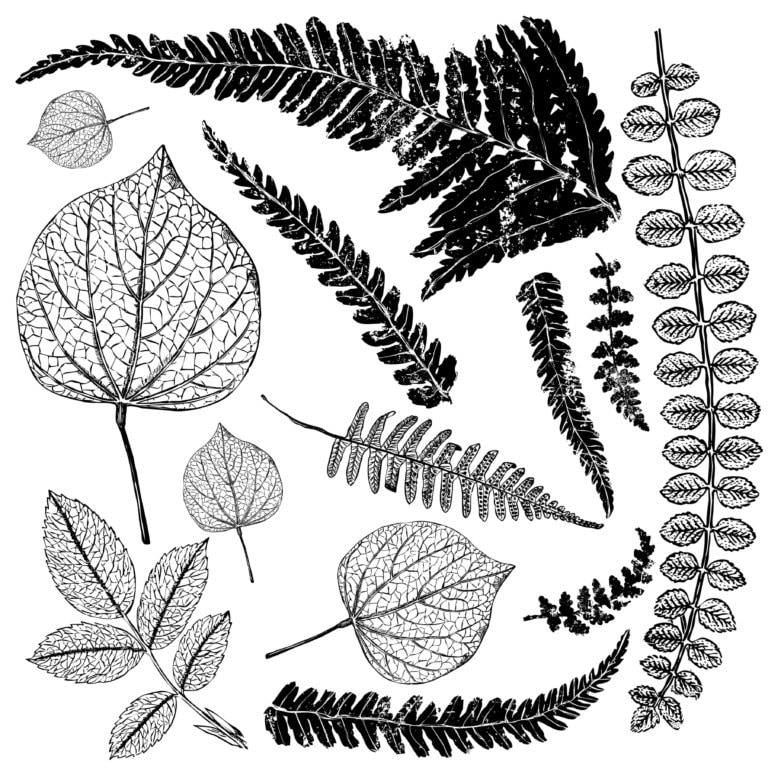 Frond | Stamp | IOD Iron Orchid Designs IOD