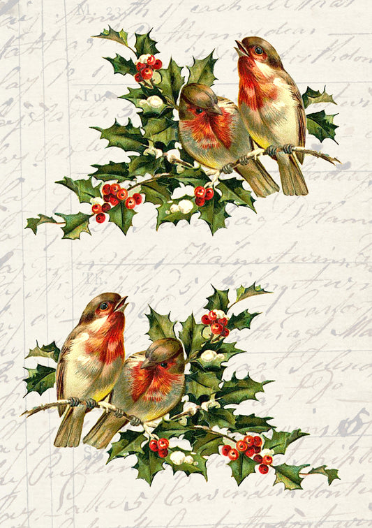 Birds On Holly Branch | JRV A4 Rice Paper