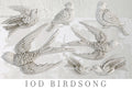 Birdsong | Mould | IOD Iron Orchid Designs IOD