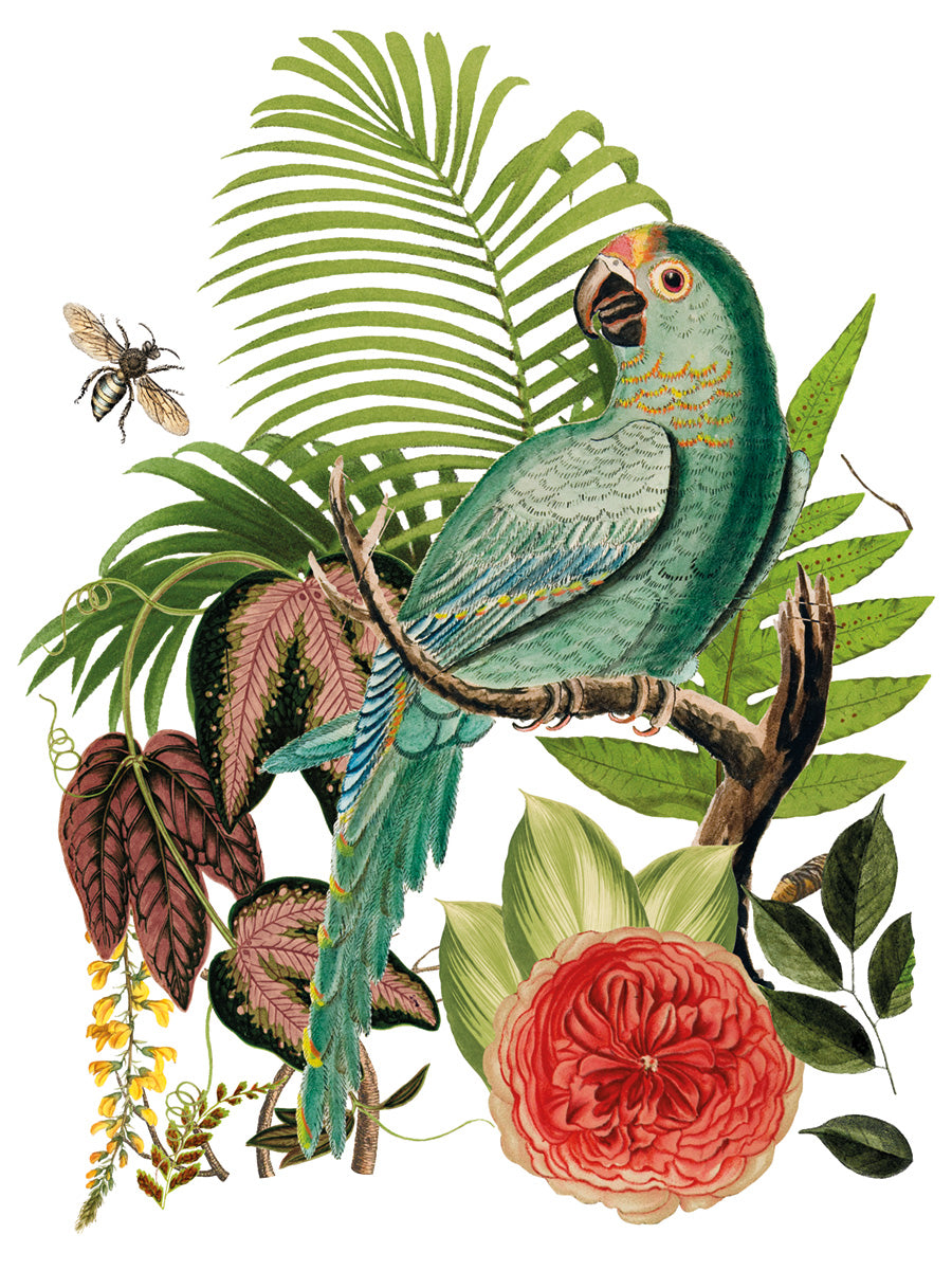 Bungalow | Transfer | IOD Iron Orchid Designs