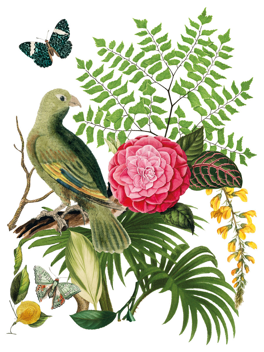 Bungalow | Transfer | IOD Iron Orchid Designs