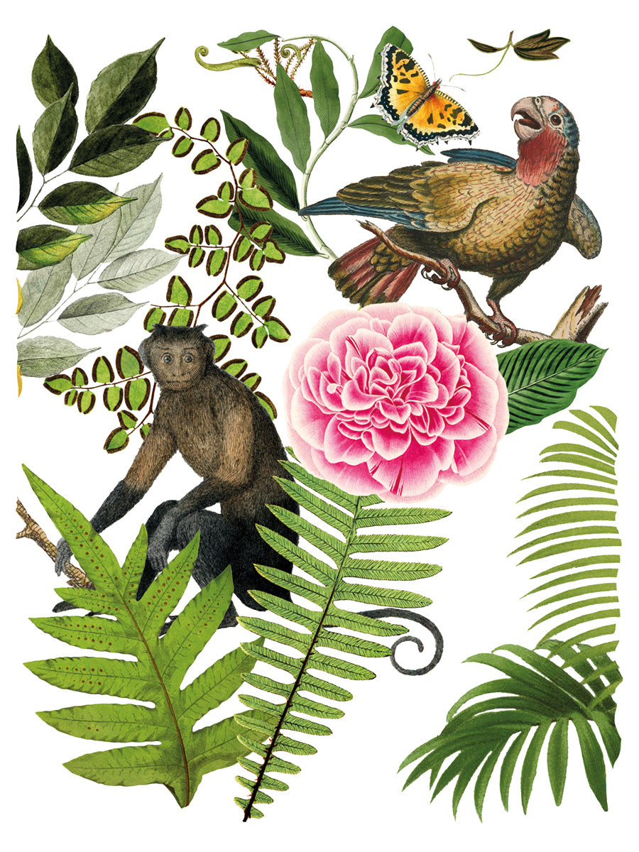 Bungalow | Transfer | IOD Iron Orchid Designs
