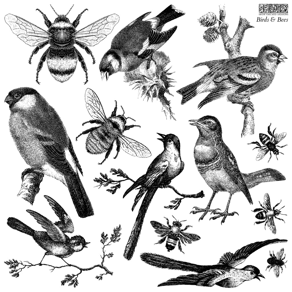 Birds & Bees | Stamp | IOD Iron Orchid Designs