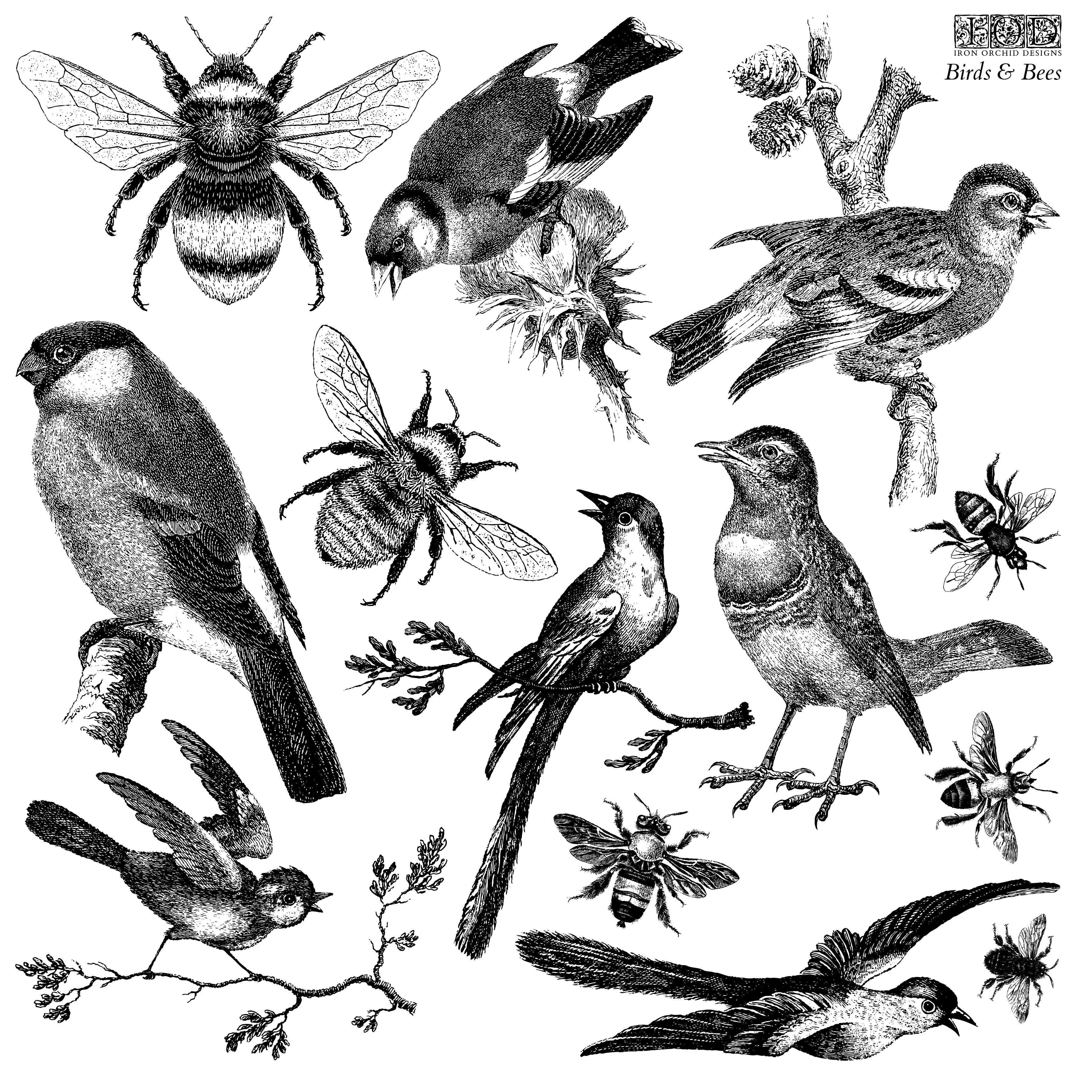 Birds & Bees | Stamp | IOD Iron Orchid Designs
