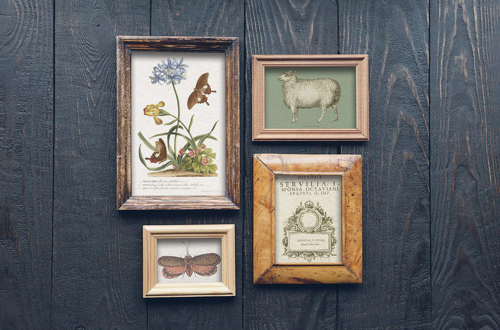 Brocante | Transfer | IOD Iron Orchid Designs