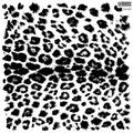 Catwalk | Stamp | Discontinued IOD Iron Orchids Designs