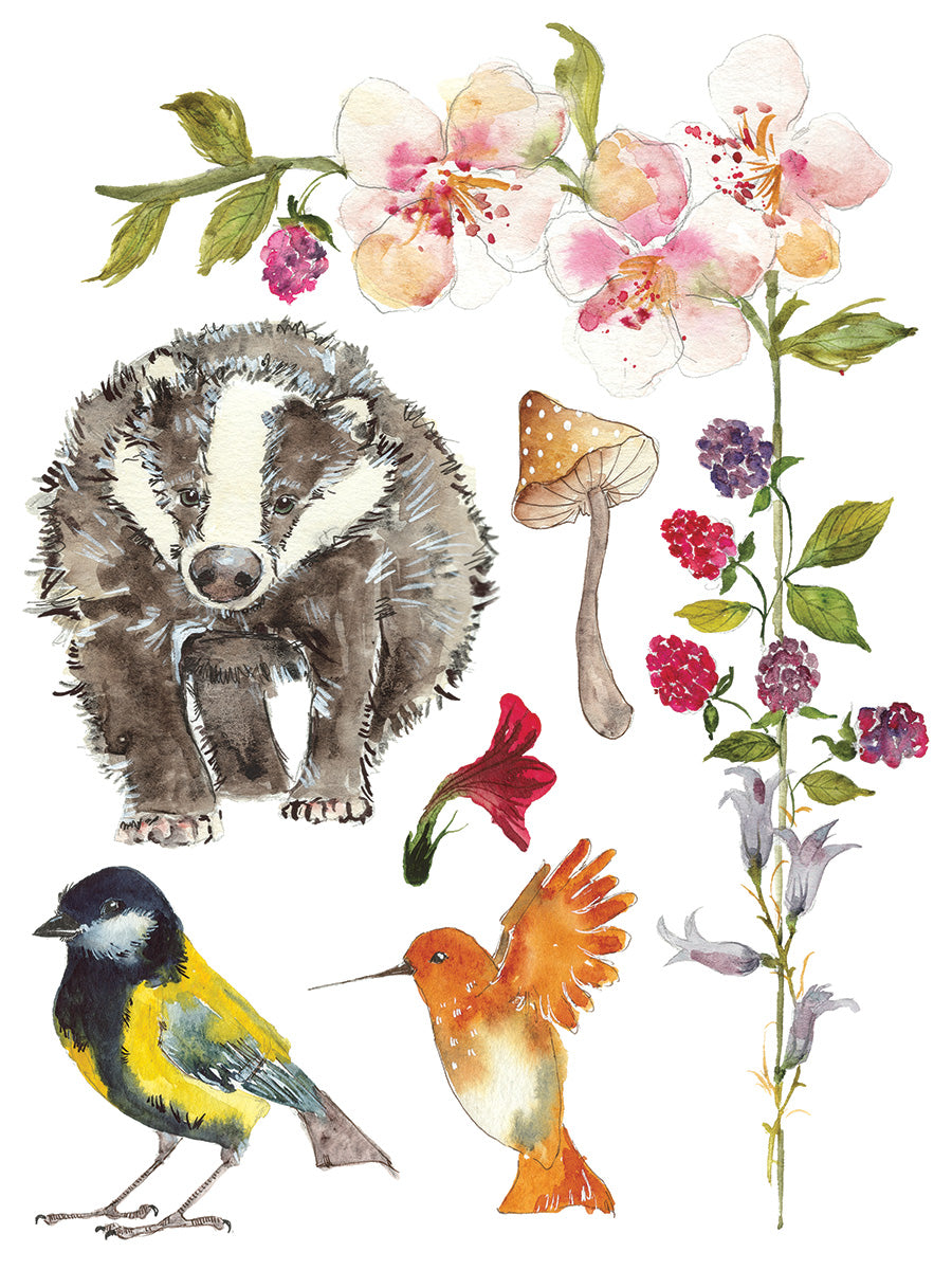 Whispering Willow | Transfer | IOD Iron Orchid Designs