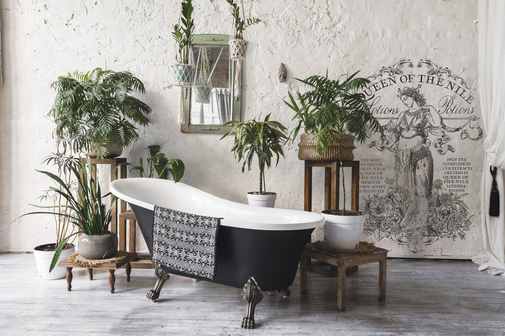 Queen of the Nile | Paint Inlay | IOD Iron Orchid Designs