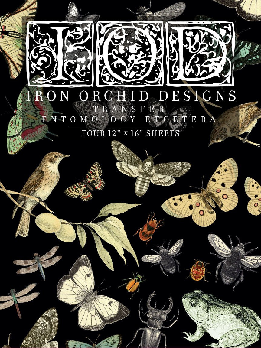Iron Orchid Designs Entomology | IOD Transfer