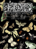 Entomology | Transfer | IOD Iron Orchid Designs