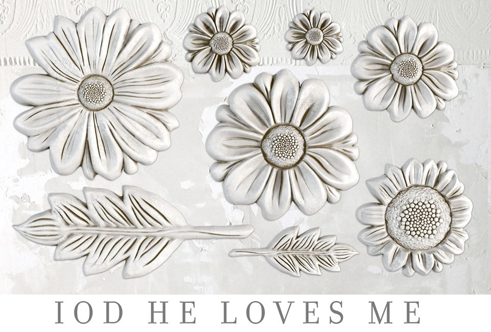 Iron Orchid Designs He Loves Me | IOD Mould