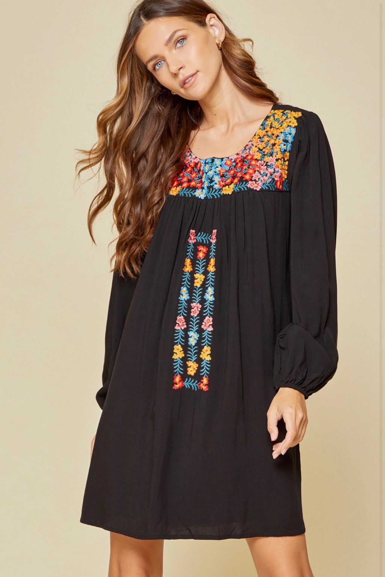 Floral Embroidered Dress