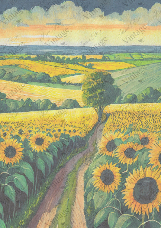 Sunflower Fields | JRV A4 Rice Paper