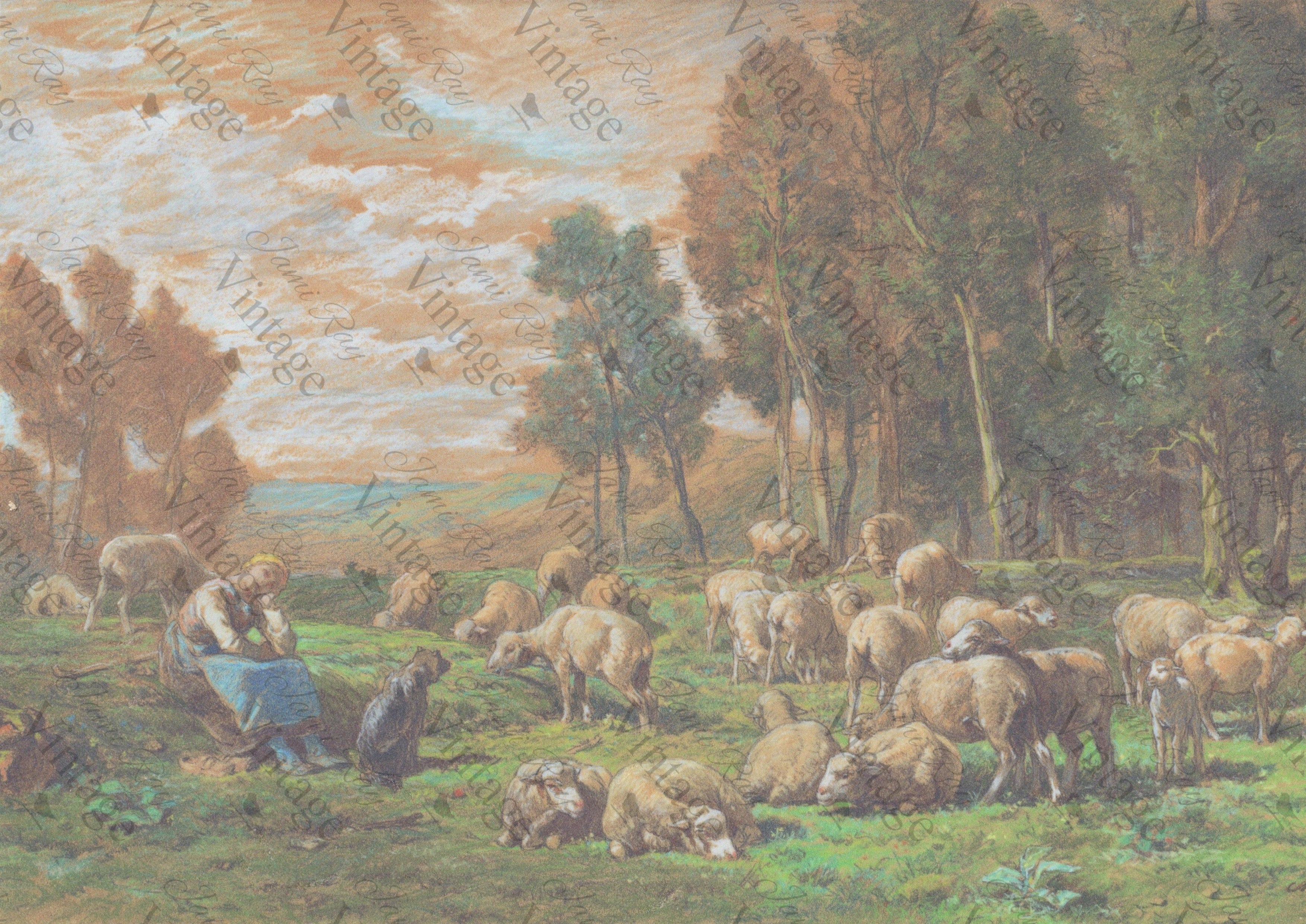 Pastoral Sheep | JRV A4 Rice Paper – Jami Ray Vintage