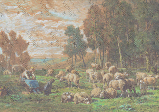 Pastoral Sheep | JRV A4 Rice Paper