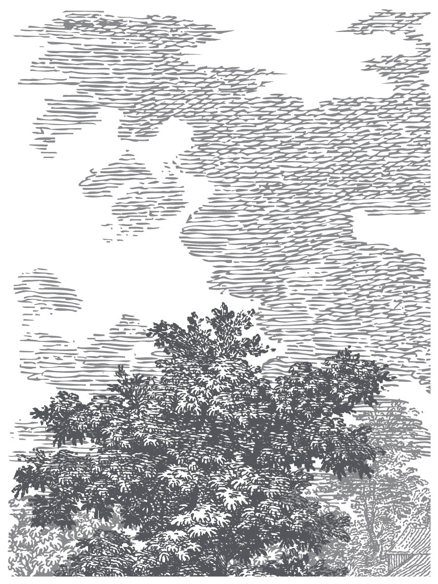 Summer Villa | Paint Inlay | IOD Iron Orchid Designs