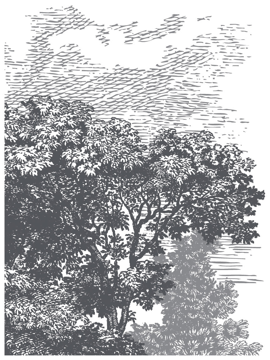 Summer Villa | Paint Inlay | IOD Iron Orchid Designs