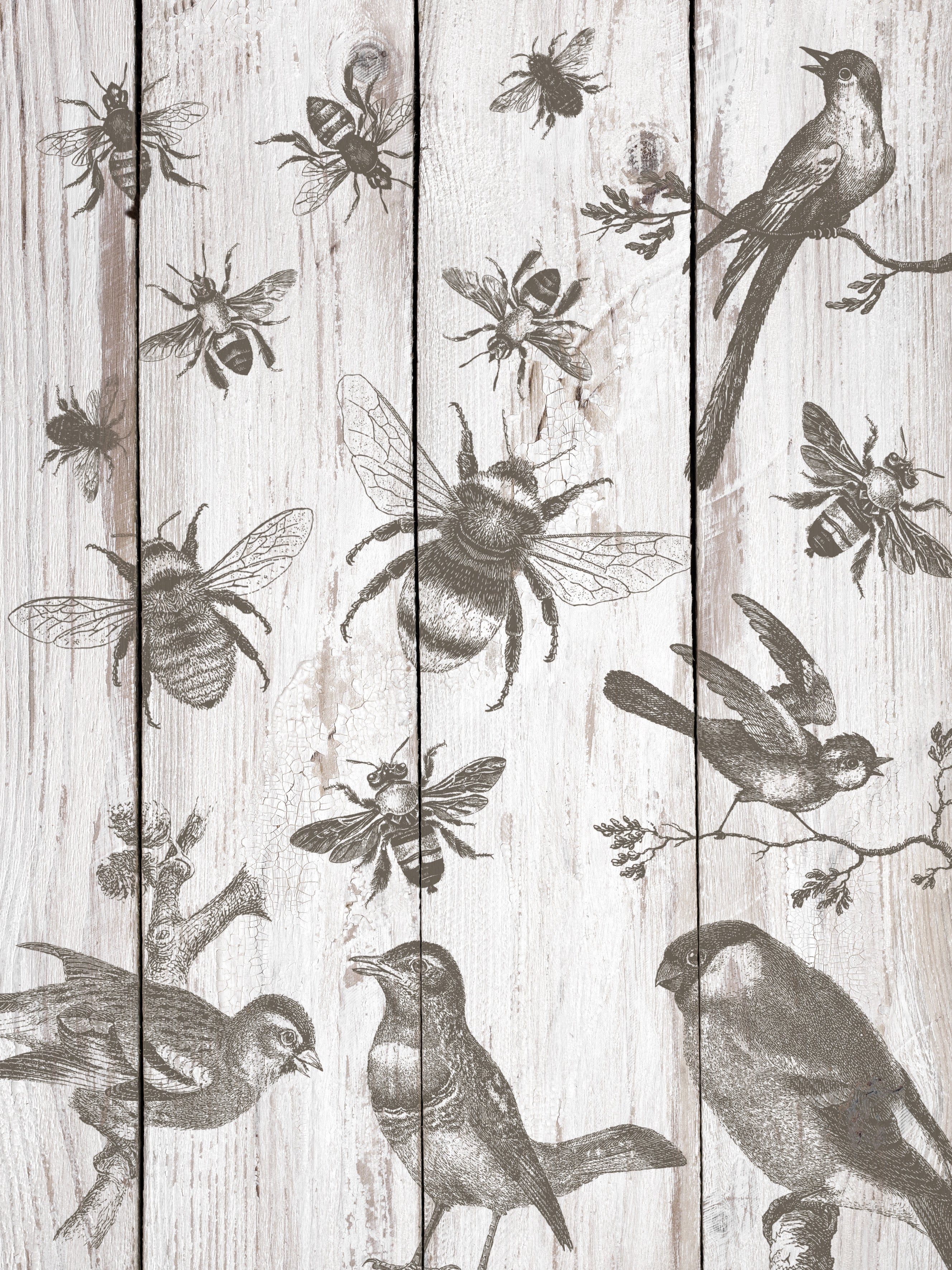 Birds & Bees | Stamp | IOD Iron Orchid Designs