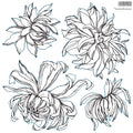 Chrysanthemum | Stamp | Discontinued IOD Iron Orchids Designs