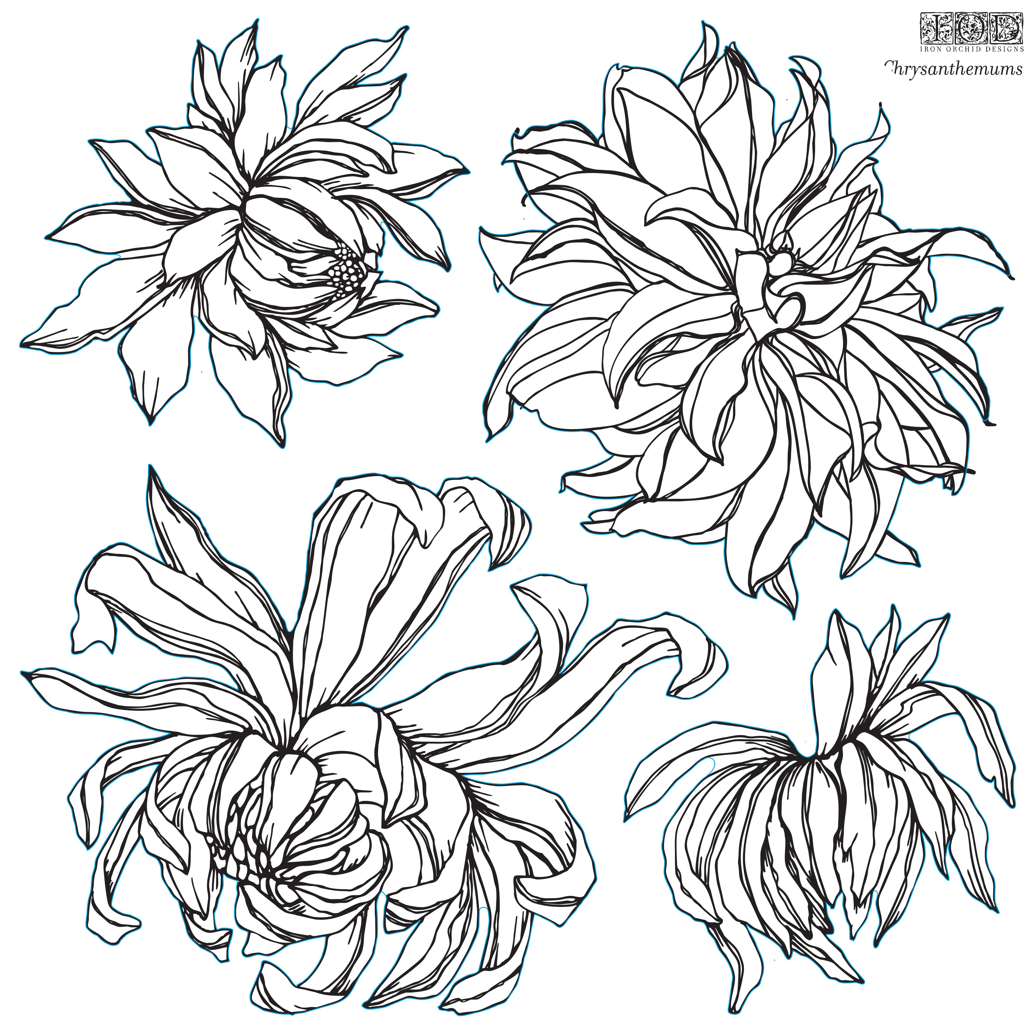 Chrysanthemum | Stamp | Discontinued IOD Iron Orchids Designs