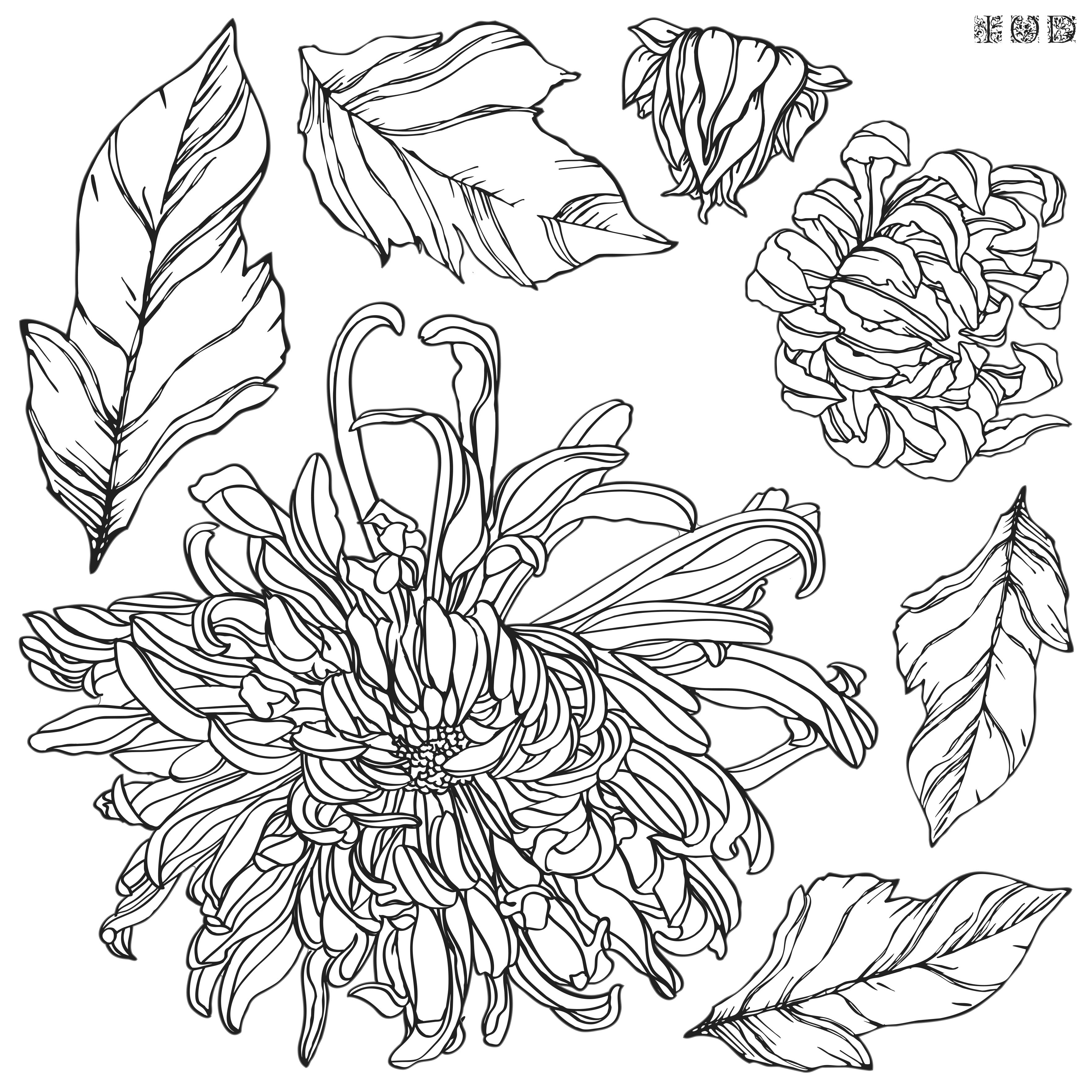 Chrysanthemum | Stamp | Discontinued IOD Iron Orchids Designs