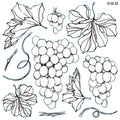 Grapes | Stamp | Discontinued IOD Iron Orchids Designs