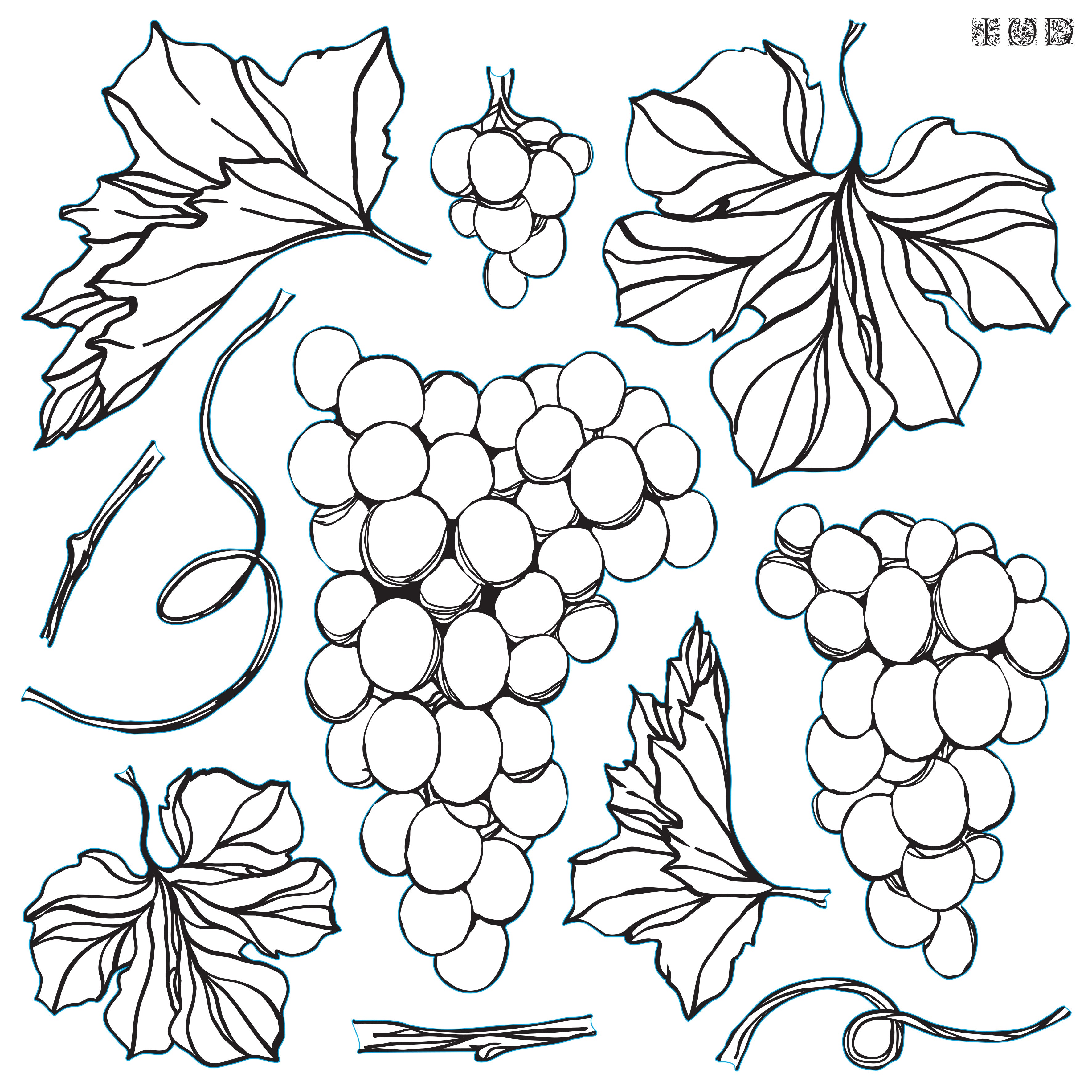 Grapes | Stamp | Discontinued IOD Iron Orchids Designs