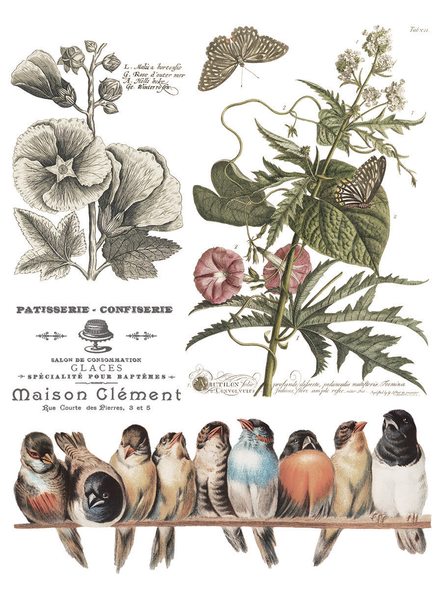 Brocante | Transfer | IOD Iron Orchid Designs