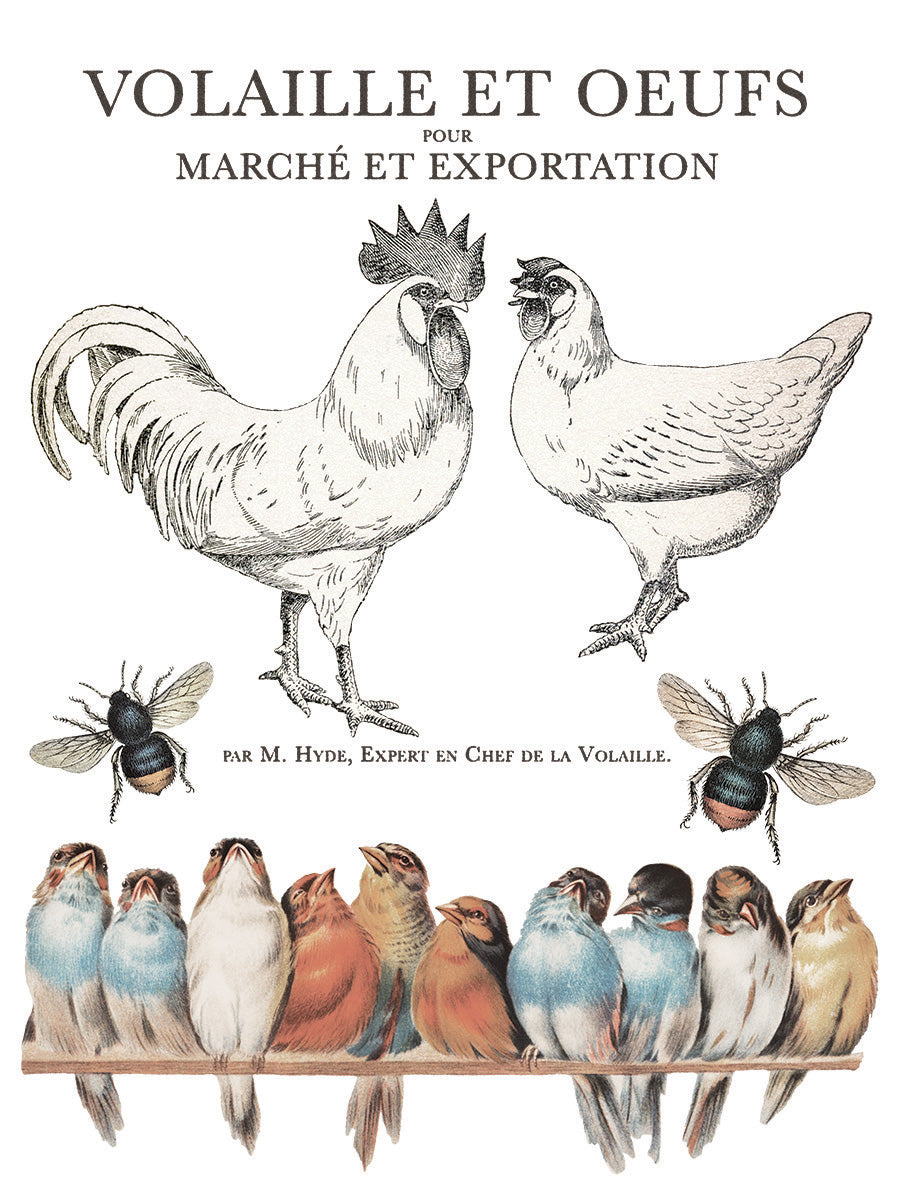 Brocante | Transfer | IOD Iron Orchid Designs