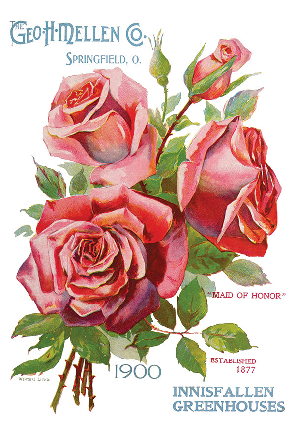 Ephemeral Melange | Transfer | IOD Iron Orchid Designs