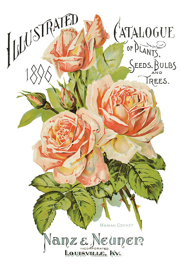 Ephemeral Melange | Transfer | IOD Iron Orchid Designs