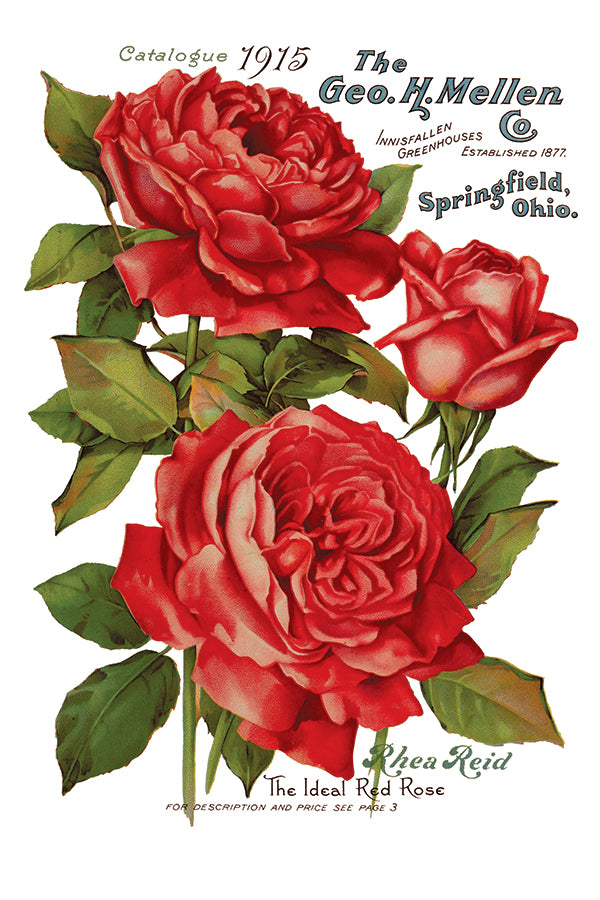 Ephemeral Melange | Transfer | IOD Iron Orchid Designs