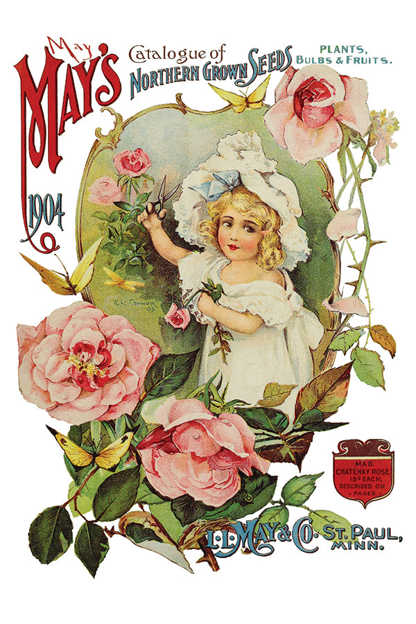 Ephemeral Melange | Transfer | IOD Iron Orchid Designs