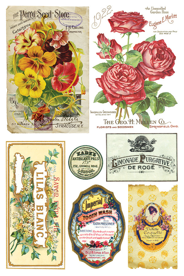 Ephemeral Melange | Transfer | IOD Iron Orchid Designs