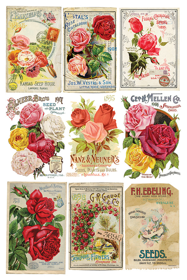 Ephemeral Melange | Transfer | IOD Iron Orchid Designs