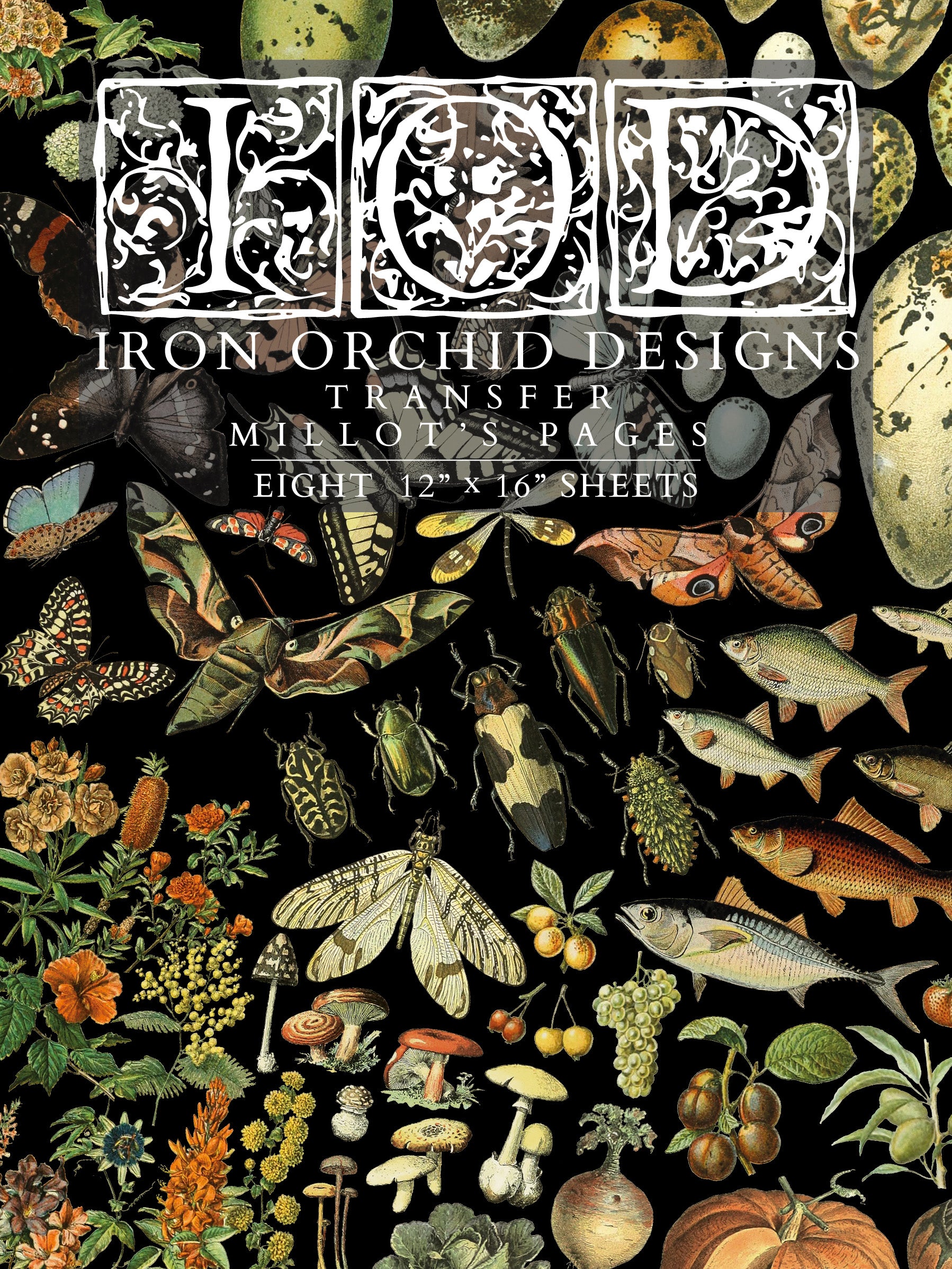 Millot's Pages | Transfer | IOD Iron Orchid Designs by