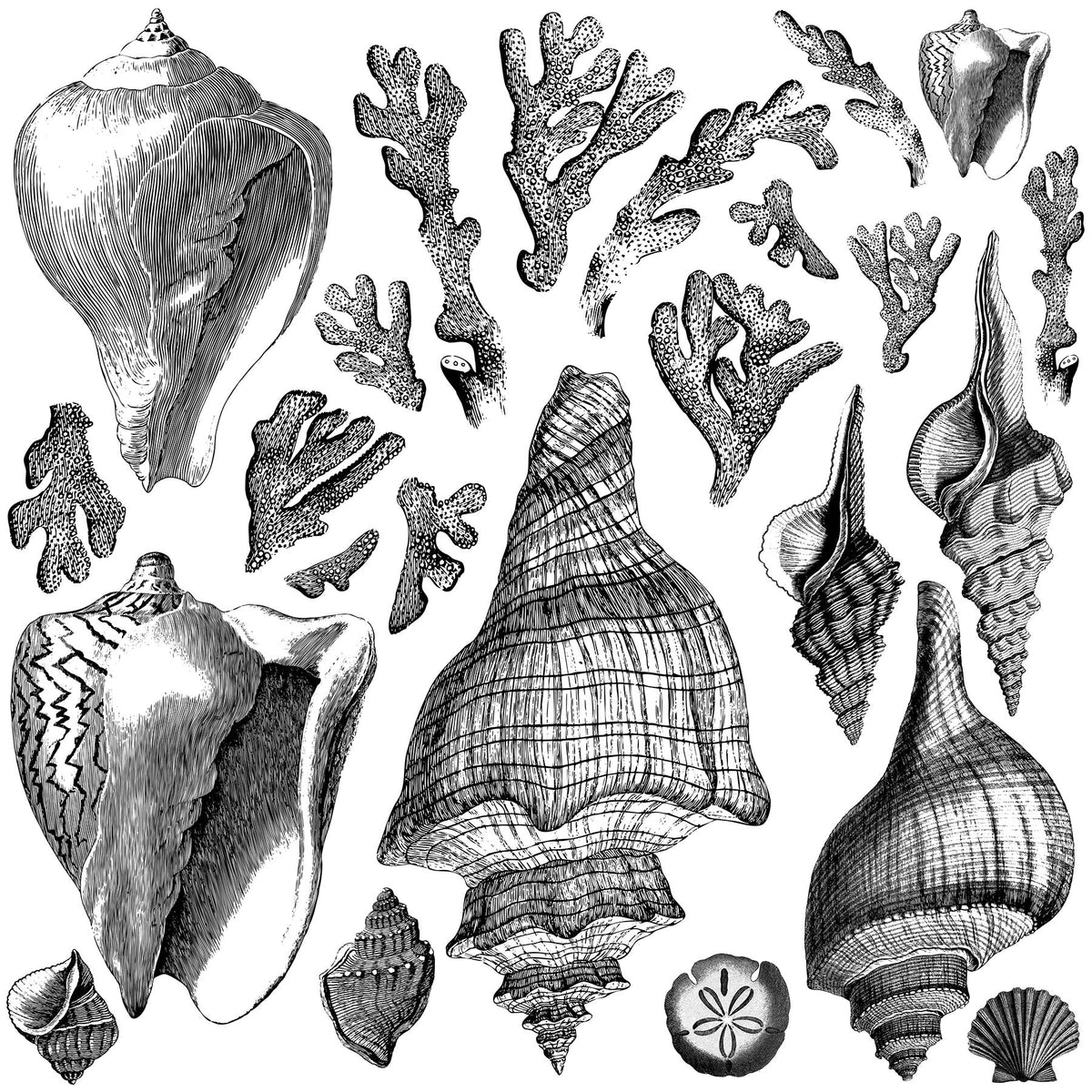 Discontinued Seashore | Decor Stamp | IOD