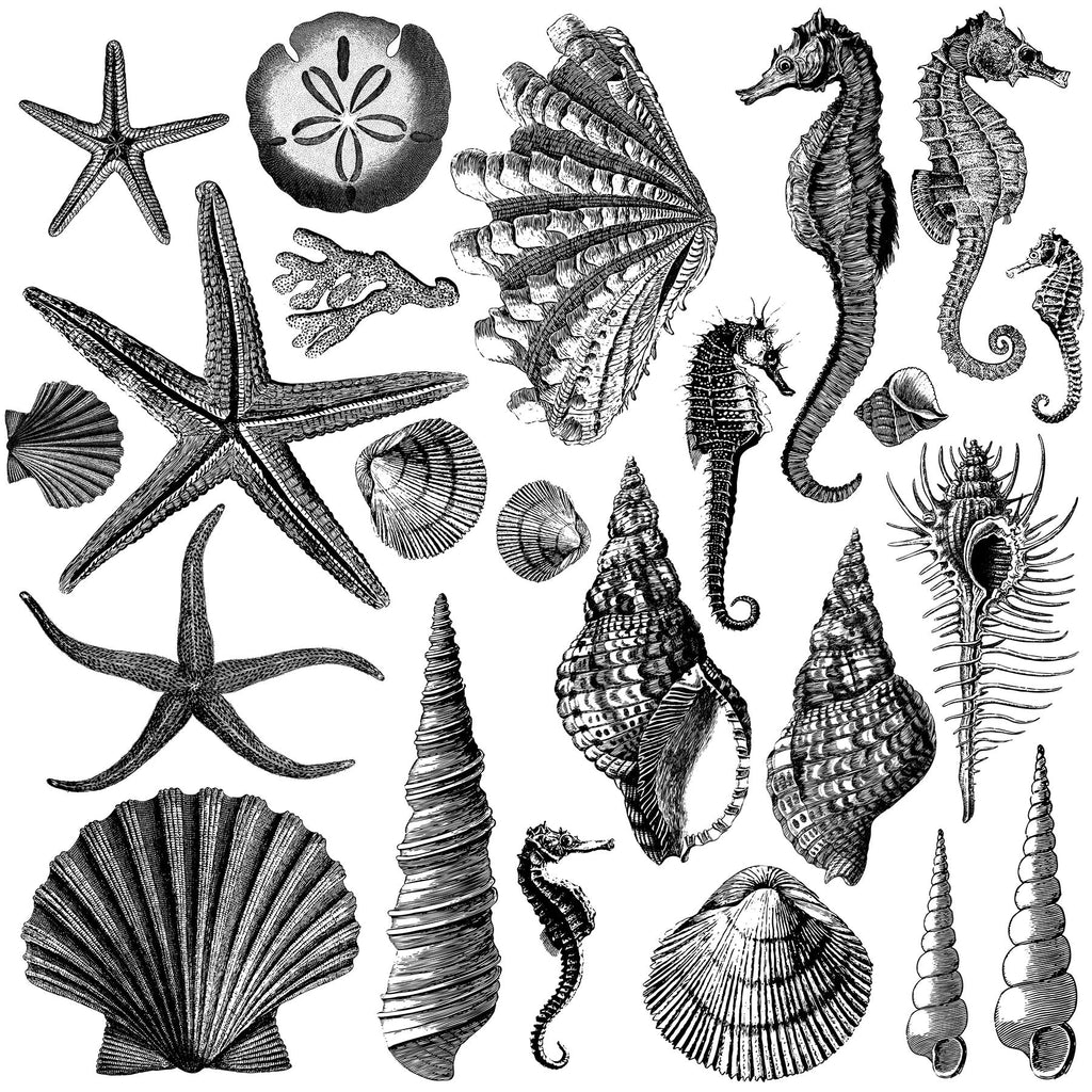 Discontinued Seashore | Decor Stamp | IOD
