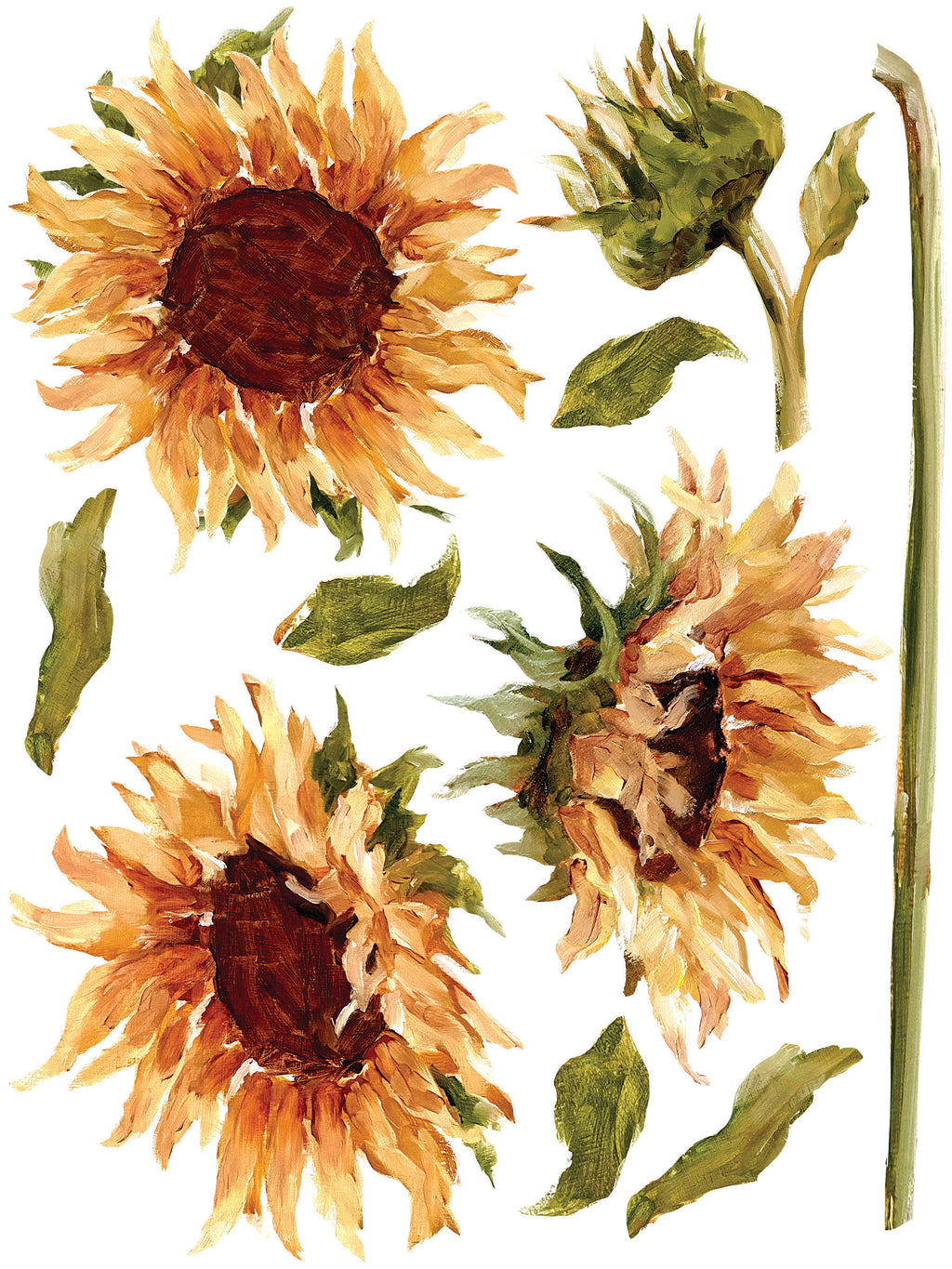 Painterly Florals | Transfer | IOD Iron Orchid Designs