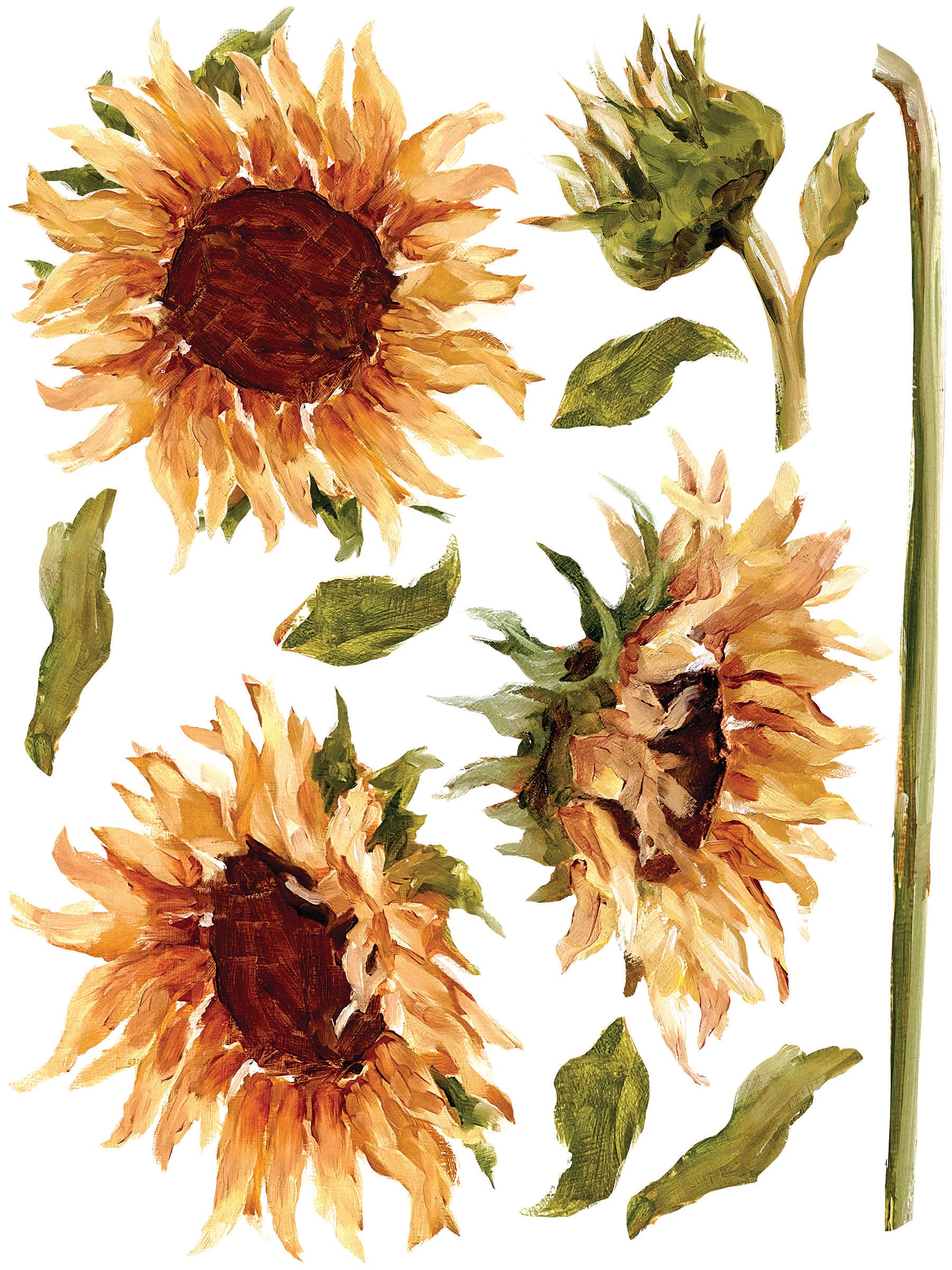 Painterly Florals | Transfer | IOD Iron Orchid Designs