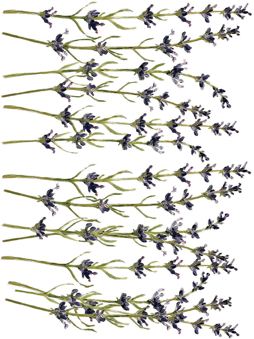 Painterly Florals | Transfer | IOD Iron Orchid Designs