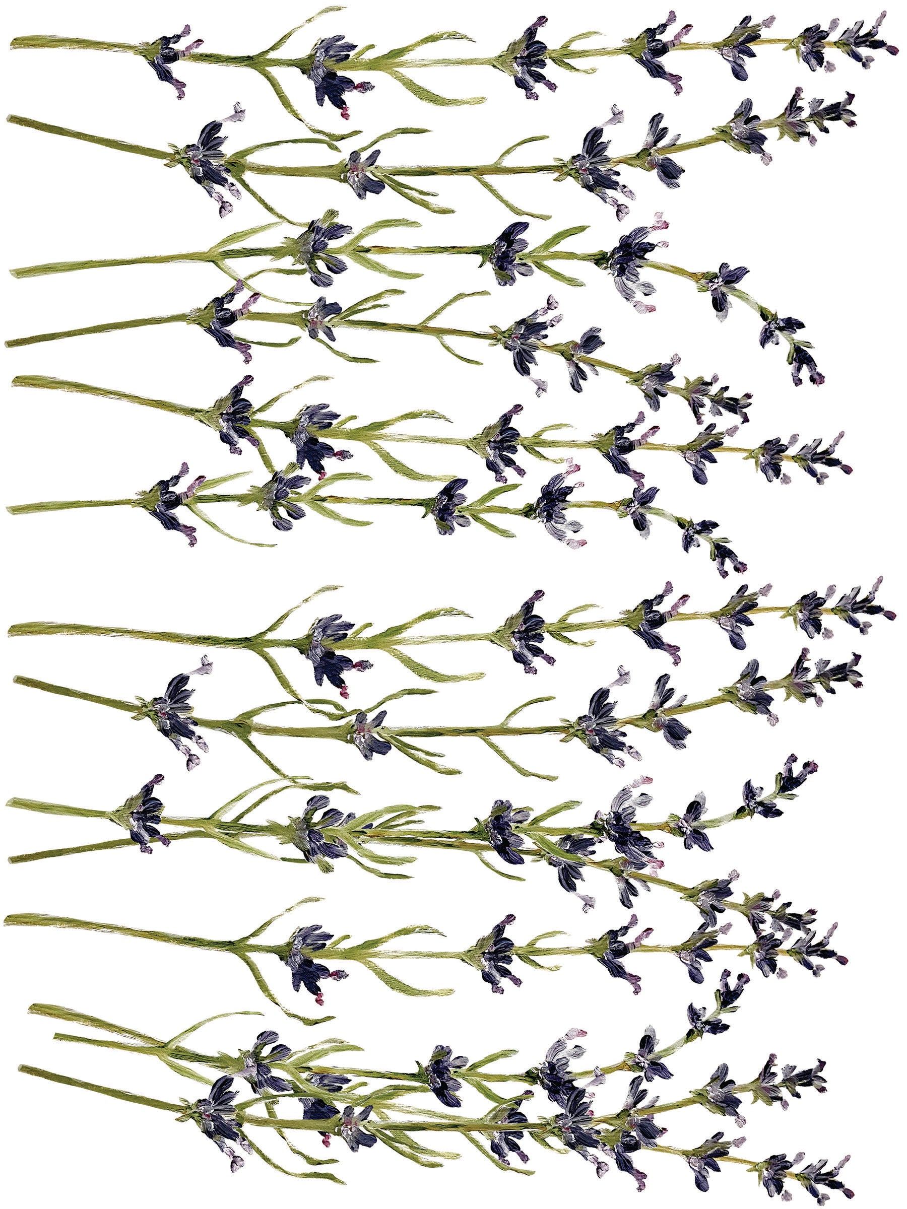 Painterly Florals | Transfer | IOD Iron Orchid Designs