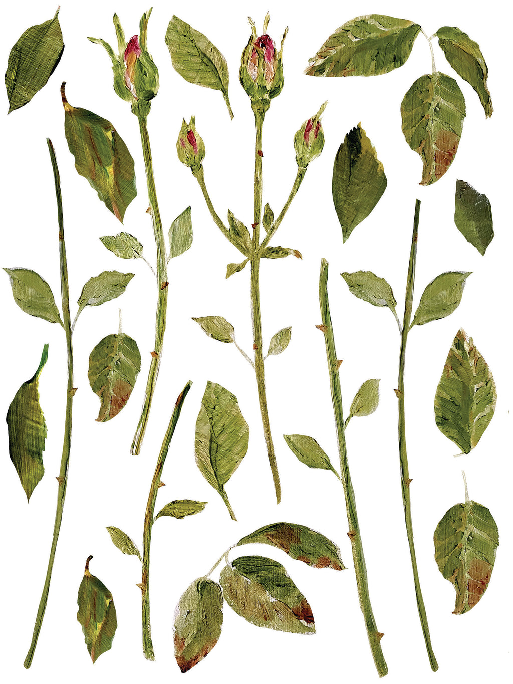 Painterly Florals | Transfer | IOD Iron Orchid Designs